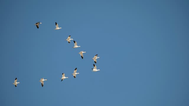 Secure Cloud Migration: A Comprehensive Guide